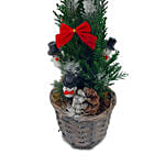 Christmas Tree In A Basket