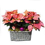 Little Gift Basket