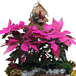 Pinkish Christmas
