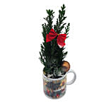 Poinsettia In A Mug