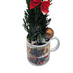 Poinsettia In A Mug