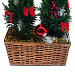 Twin Christmas Tree In A Basket