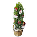 Your X Mas Tree