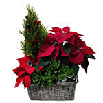 Santas Secret Gift