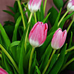 Lovely Pink N Light Pink Tulips Bouquet