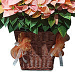 An Arrangement To Remember