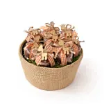 Born To Be Wild Medium