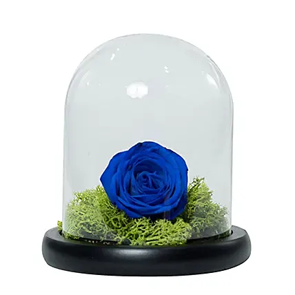 Elegant Blue Rose: Father's Day Flowers