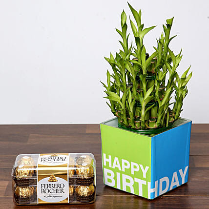 3 Layer Bamboo Plant and Chocolates For Birthday: Chocolates for Her
