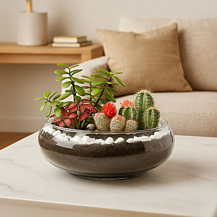 Jade With Fittonia & Cactus Plant In Small Fish Bowl: Dish Gardens