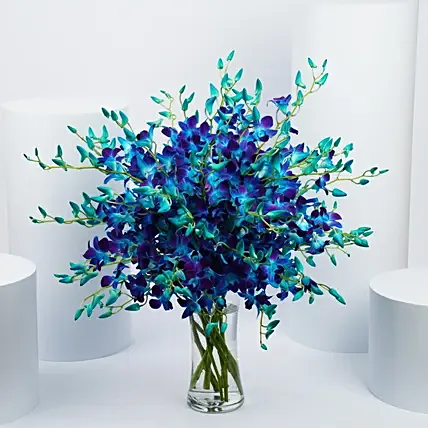 Blue and Purple Orchid Flower Arrangement: Orchid Flower Bouquets