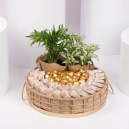 A Gift of Growth and Gratitude: Flag Day Gifts