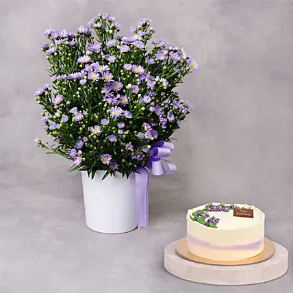 Aster Flower Elegance Birthday Wish and Cake: Aster Flower Bouquet 