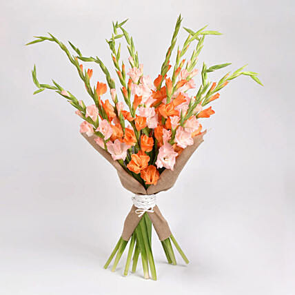 Gladiolus Flower Bouquet: Gifts for Leos