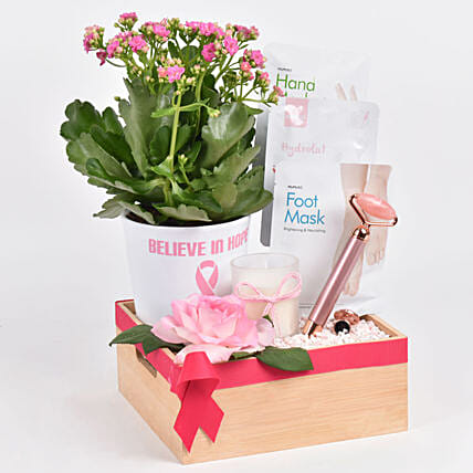 مجموعة عناية بالبشرة في بوكس مع نبتة كلانشوا في أصيص: أزهار وحلويات العيد