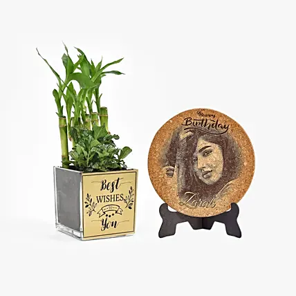 Best Wishes Plant n Personalised Plaque Combo: Birthday Combos