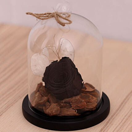 Black Forever Rose In Glass Dome: Thank You Flowers