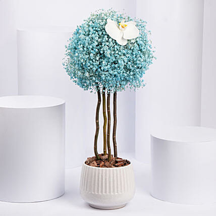 بوكس ورد جوري ودلفينيوم وشوكولاتة - هدية ورد: زهور وشوكولاتة لعيد الأم