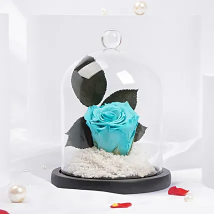 وردة دائمة لعيد الحب: فور ايفر روز