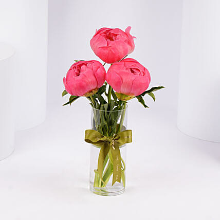 Three Peonies in Vase