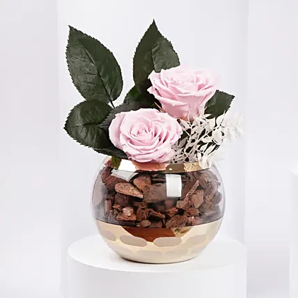 Duo of Pink Preserved Rose in Premium Vase: Mother's Day Flowers