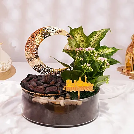 باقة عيد مبارك مع هلال وتمر ونباتات: Eid Combos