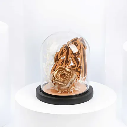 Forever Rose For Abba: Forever Roses