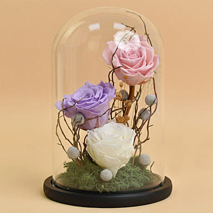 Forever Roses in a Dome: Forever Roses