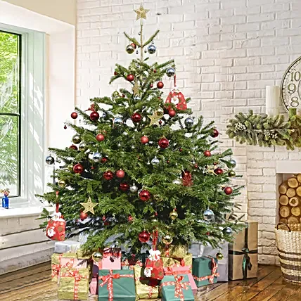 5 Feet Fresh Xmas Tree with Decoration: Christmas Trees