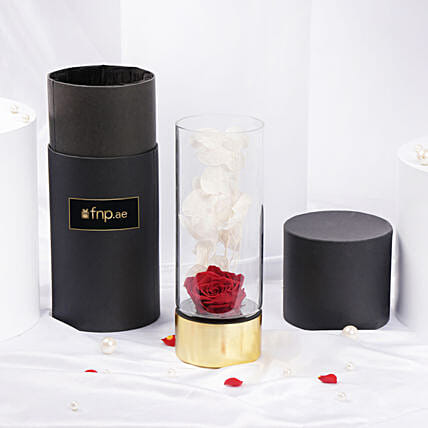 Gift of Love Red Forever Rose in Premium Vase: Rose Day Gifts