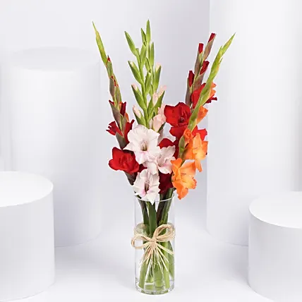Gladiolus Charm Arrangement: Gladiolus Flowers