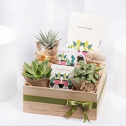 صينية خشبية تحتوي على تشكيلة نباتات مغلفة بالجوت وكويز ومج : تنسيق هدايا شوكولاتة