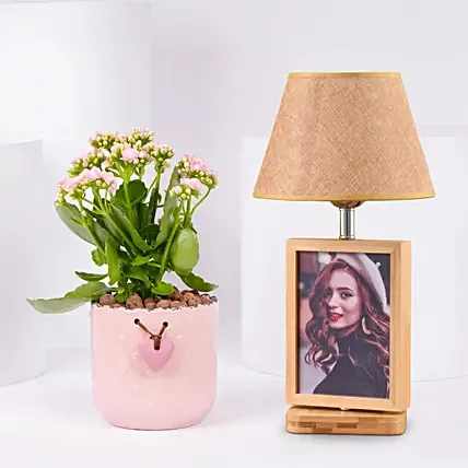 Kalanchoe Plant with Photo Lamp: Outdoor Plants to Dubai