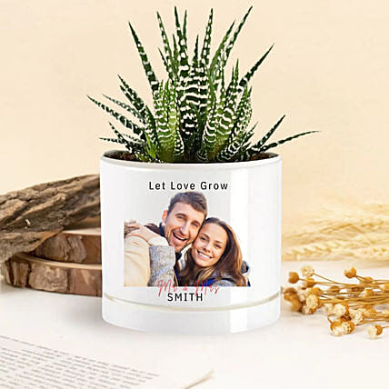 Let Love Grow Echeveria Plant: Personalised Planters
