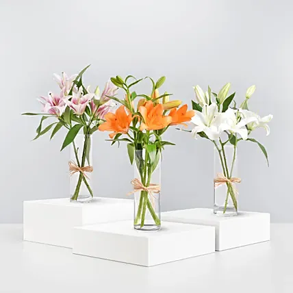 Lilies Beauty Trio: Lilies flowers Bouquet