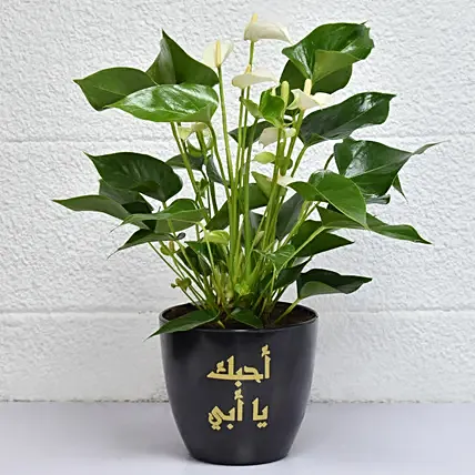 Love you Dad Anthurium Plant: Flowering Plants 
