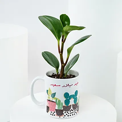 Peperomia Plant Birthday Mug: Flowering Plants