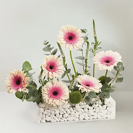 Jumeirah Joy Dubai Flowers: Gerberas Flower Bouquets