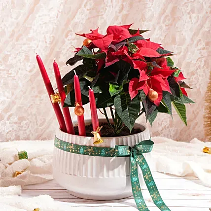 Poinsettia Glow Arrangement: Candles 
