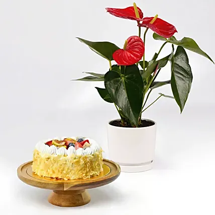 نبات أنطوريوم وكيكة فواكه بدون سكر: كيك بدون سكر