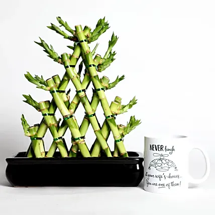 Triangle Shape Bamboo with Mug: Spiritual n Vastu Plants