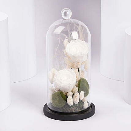 White Eternal Rose In A Glass Dome: Forever Roses