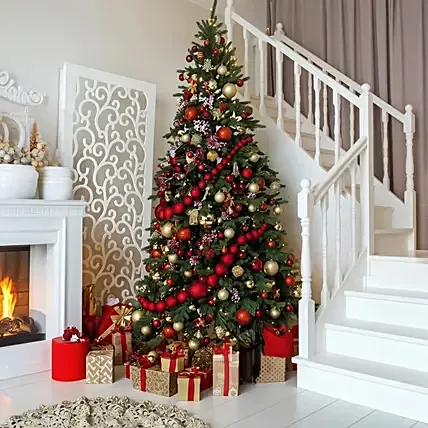 Premium US Noblis Fir Christmas Tree 8 Feet: Christmas Trees