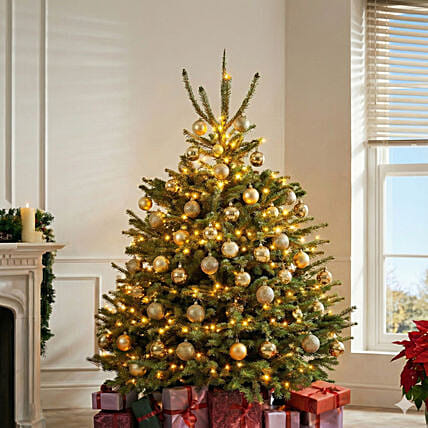 Golden Glow Fresh Tree 4 To 5 Feet: Gifts for Christmas