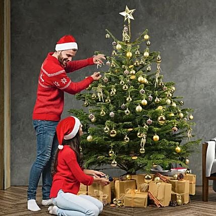 Golden Glow Fresh Christmas Tree 6 To 7 Feet: Christmas Trees