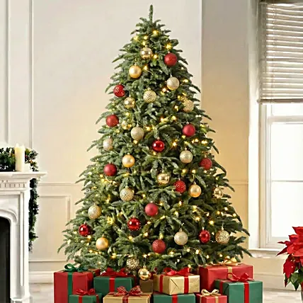 Majestic US Noblis Fir Christmas Tree 5 To 6 Feet: Fresh Christmas Trees