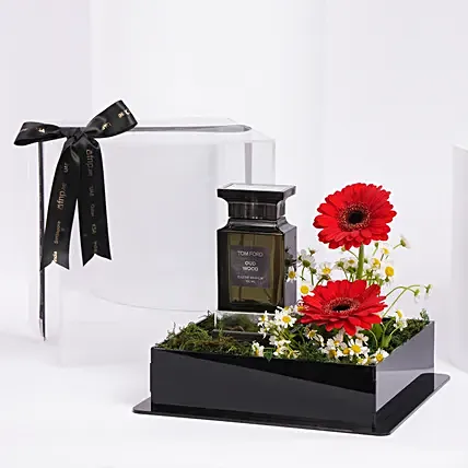 Tom Ford Oud Wood EDP 100ml Gift for Him: 