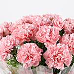 Captivating 20 Pink Carnations Bouquet