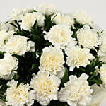 Charming 20 White Carnations Bunch