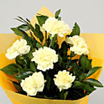 External Love 6 Yellow Carnations